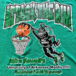 VINTAGE UofA Monticello Basketball tee